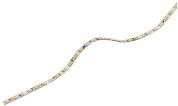 Bande LED, Häfele Loox5 LED 2060 12 V 5 mm 2 pôles (monochrome)